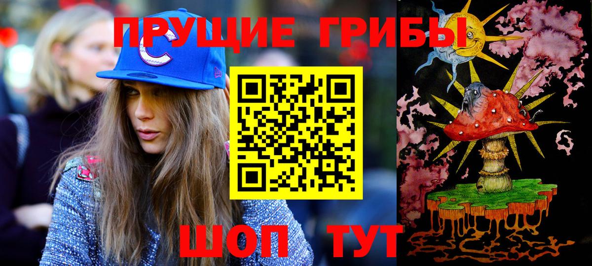 Электрогорск  Галлюциногенные грибы прущие грибы  Вход с VPN 