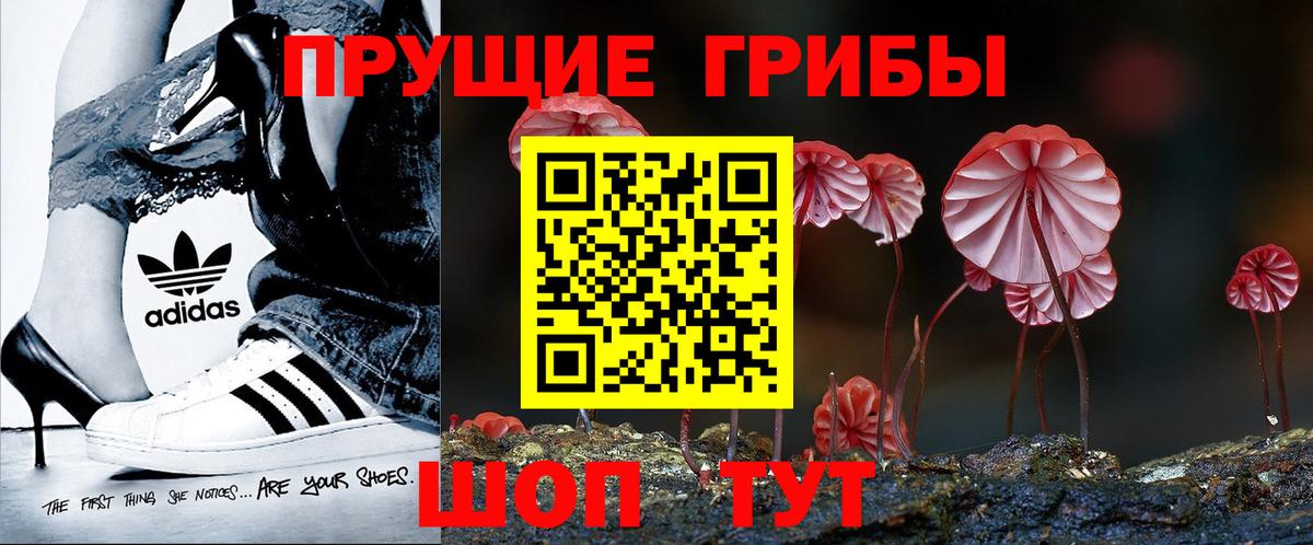 Псилоцибиновые грибы Cubensis Электрогорск